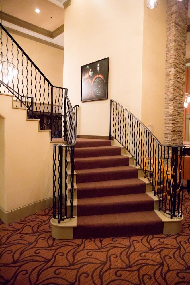Homewood Suites By Hilton Houston-Woodlands-Shenandoah The Woodlands Zewnętrze zdjęcie
