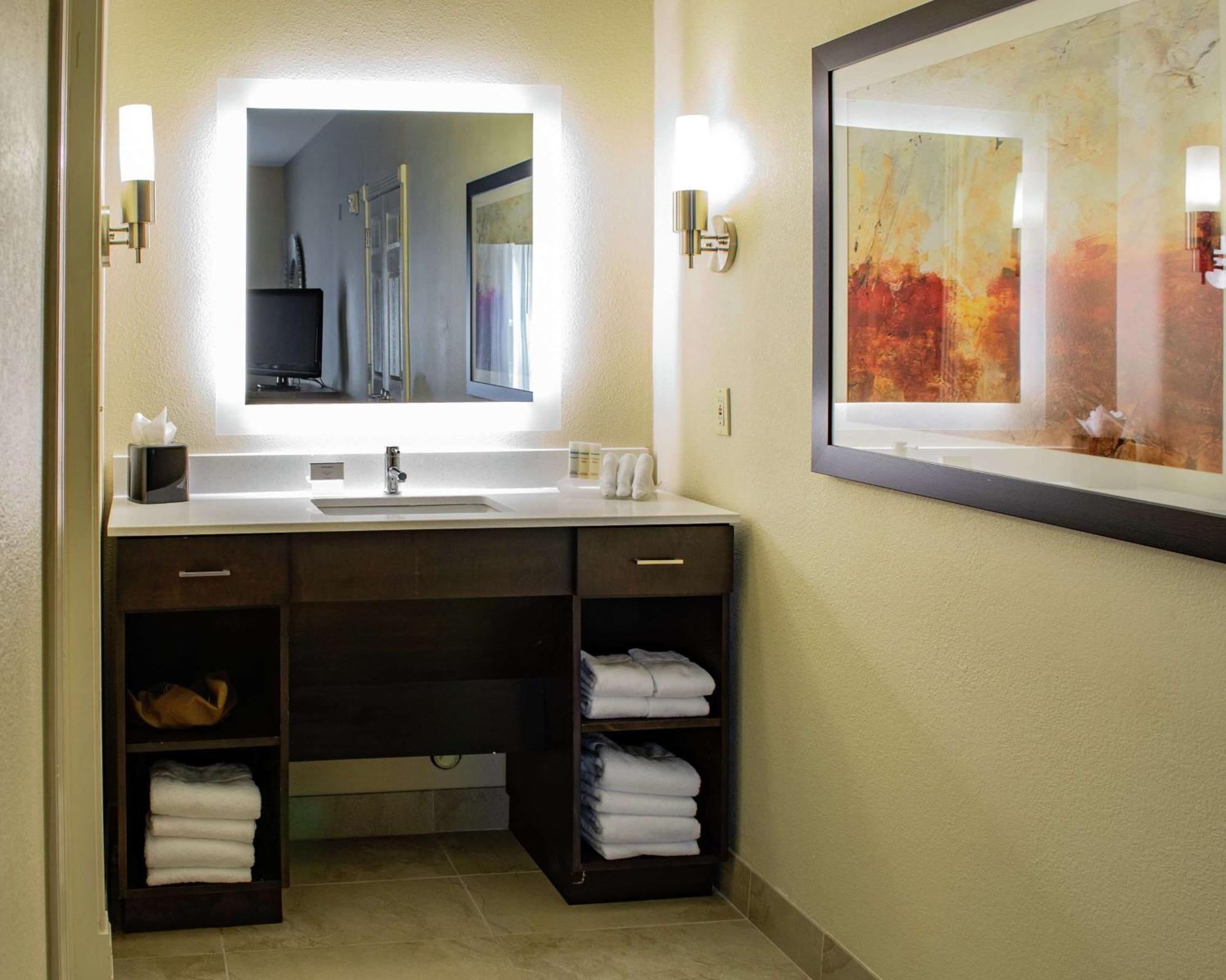 Homewood Suites By Hilton Houston-Woodlands-Shenandoah The Woodlands Zewnętrze zdjęcie